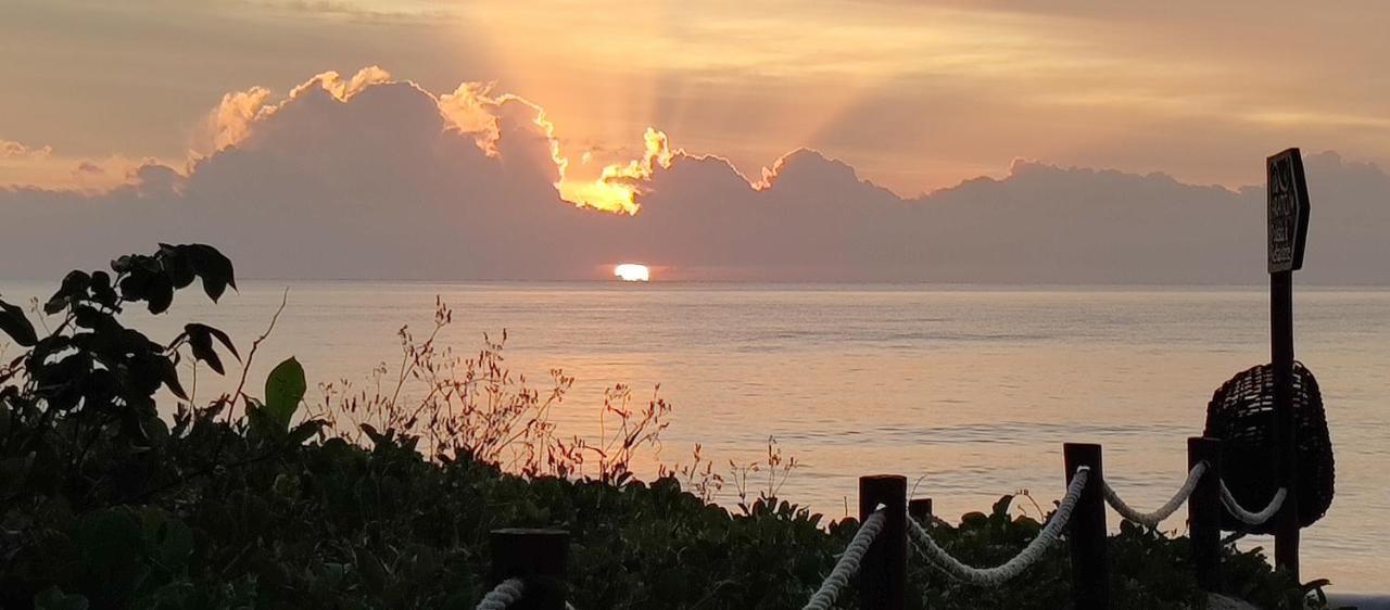 Vila Araticum Praia سانت أندري المظهر الخارجي الصورة