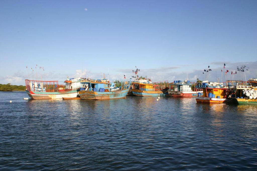 Vila Araticum Praia سانت أندري المظهر الخارجي الصورة